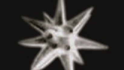 01KJ3V83QPC6D4THXE6FAJ0X46-original-1368x766.webp