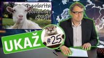 25.jpeg