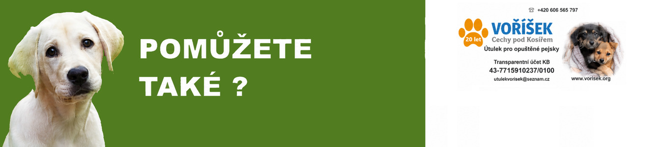 banner-starovač-5.png