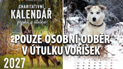 Nepojmenované.jpeg