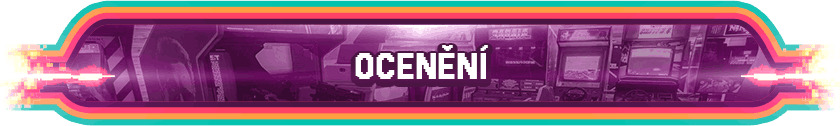 Ocenění