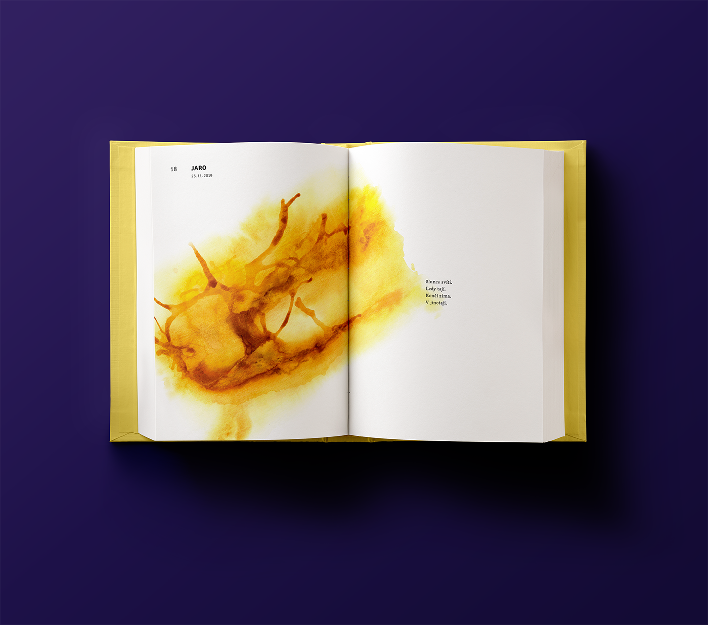 Book-Inner-Pages-Mockup_2.png