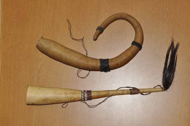 koteka.jpg