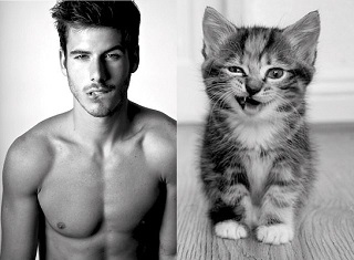 Sexy-Guy-or-Cat-13.jpg