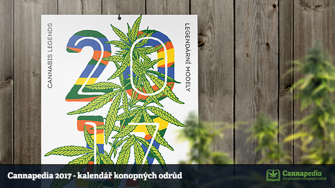 kalendar_2017_mockup1B.jpg